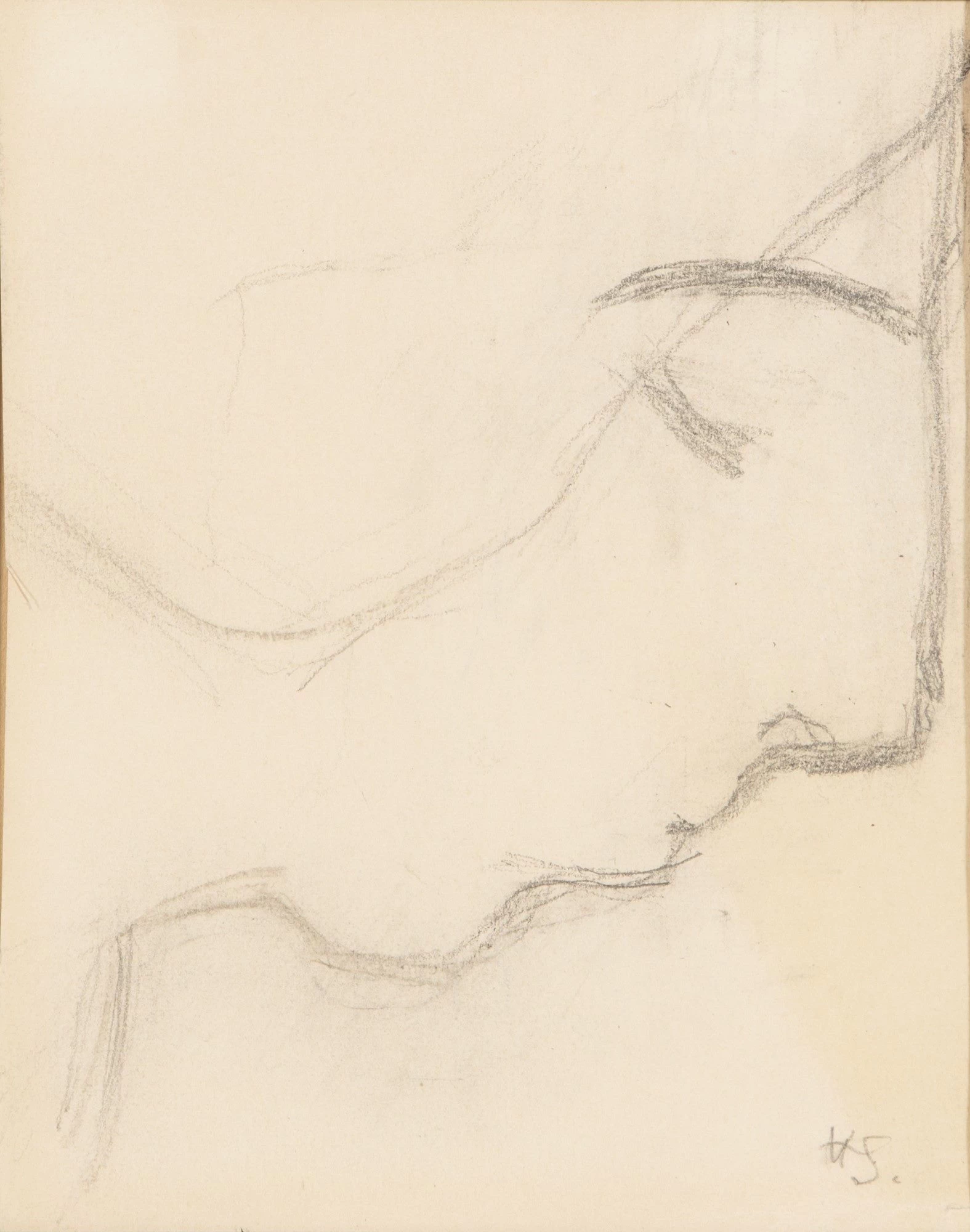 Testa di donna